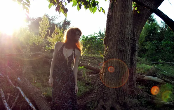 Картинка девушка, свет, природа, дерево