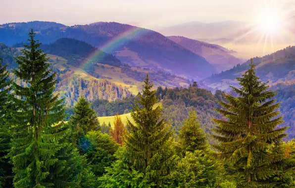 Картинка деревья, горы, природа, радуга, rainbow, trees, nature, солнечные лучи