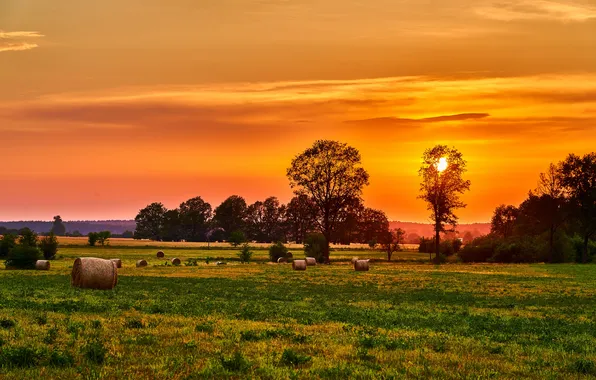 Summer, landscape, sunset
