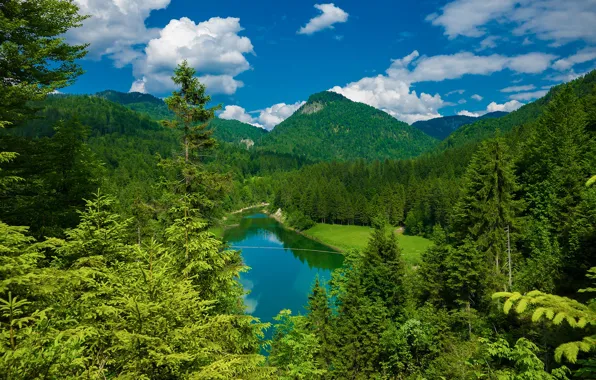 Лес, деревья, горы, озеро, Германия, Бавария, Germany, водохранилище