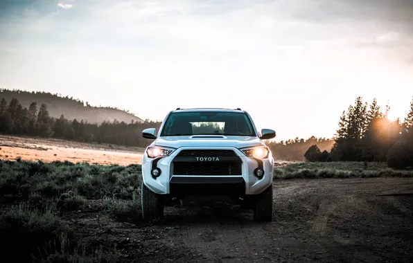 Дорога, лес, белый, трава, деревья, горы, Toyota, грунтовка
