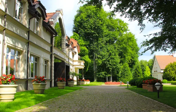 Park, alley, building