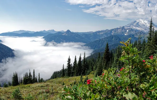 Картинка пейзаж, горы, США, Naches Loop