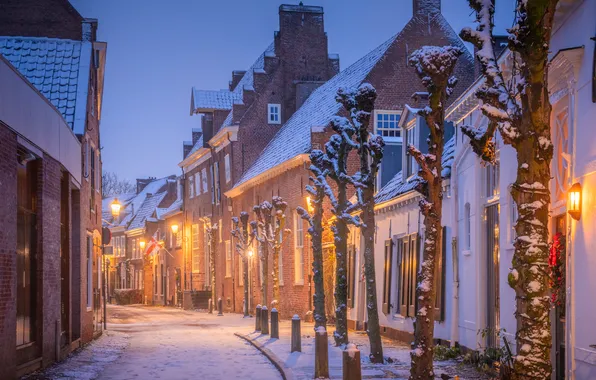 Картинка зима, снег, деревья, улица, здания, дома, Нидерланды, Netherlands