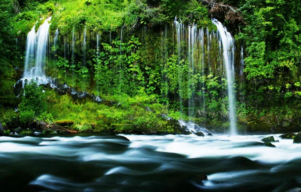 Картинка USA, California, nature., Mossbrae