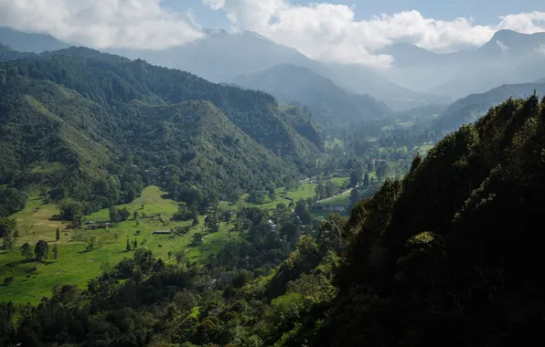 Облака, Горы, Пейзаж, Долина, Колумбия, Парки, Cocora