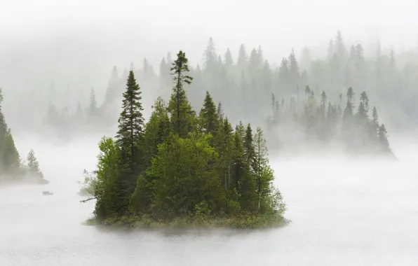 Картинка лес, природа, туман, река, Canada, fog on fentol lake