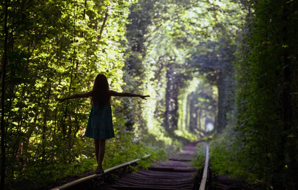 Картинка green, silhouette, Trees, train tracks