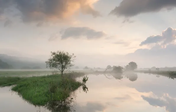 Картинка небо, трава, облака, туман, озеро, отражение, дерево, берег