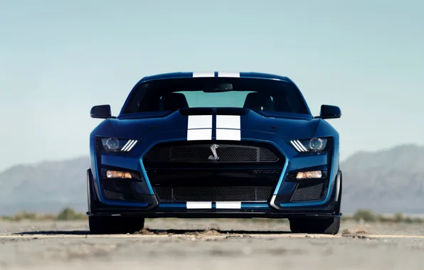 Синий, Mustang, Ford, Shelby, GT500, спереди, 2019