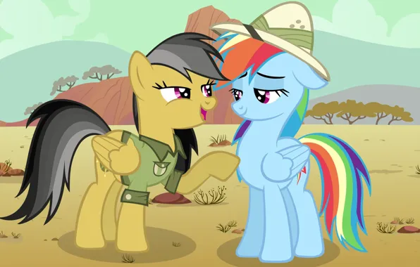 Картинка Rainbow Dash, My little pony, MLP, Daring Do, MLP:FIM