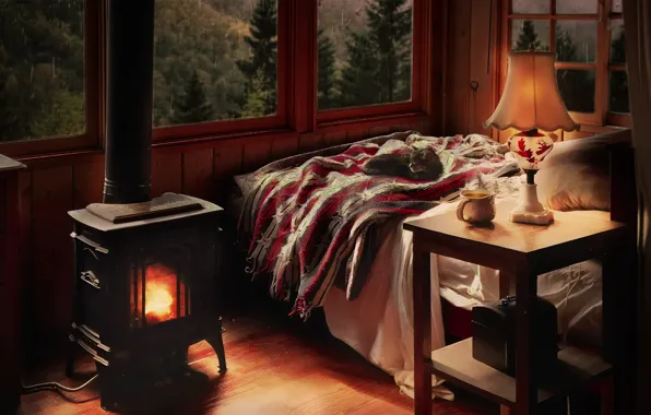 Forest, cat, bed, cabin, heater, montain, candlelight