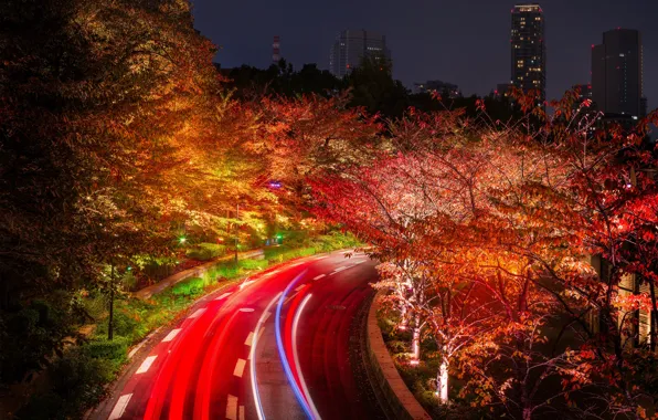 Дорога, деревья, ночь, огни, дома, Япония, Токио, фонари