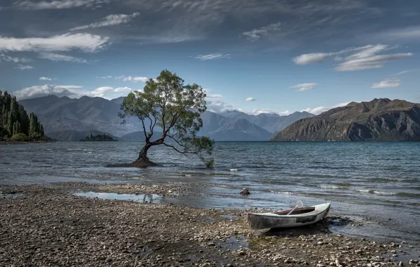Озеро, дерево, лодка