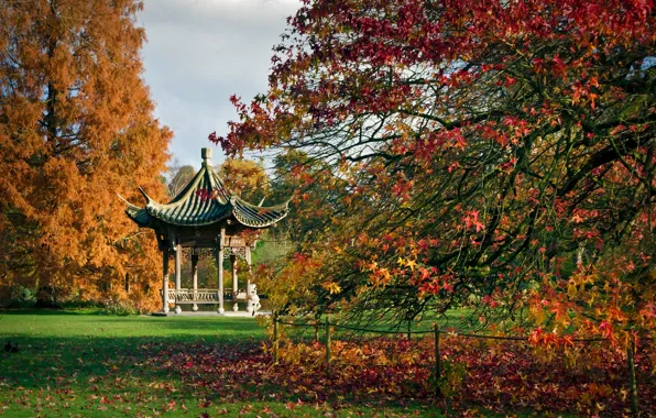 Картинка осень, деревья, Англия, пагода, беседка, England, ботанический сад, Висли