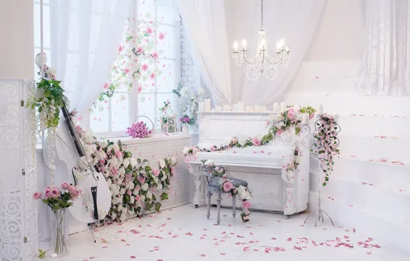 Guitar, flower, piano, room, roses, decoration, setting