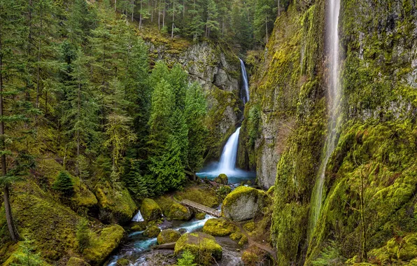 Орегон, USA, США, Oregon, Columbia, Колумбия, River Gorge, Wahclella Falls