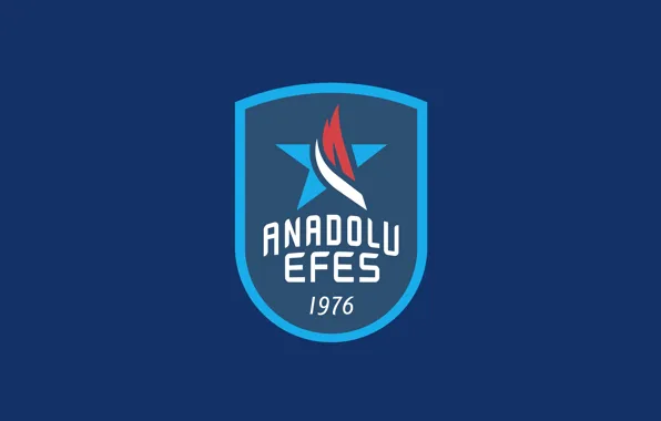 Champion, Anadolu Efes, 2020-2021, Euroleauge