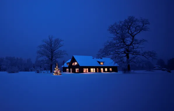 Картинка lights, дом, елка, Новый Год, Рождество, Christmas, night, winter