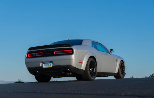 Картинка Dodge, Challenger, rear view, Dodge Challenger SRT Hellcat Widebody