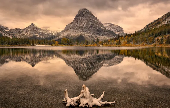 Картинка glacier national park, First Snow, Sinopah