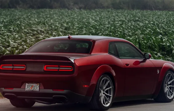 Dodge, Challenger, 2018, Hellcat, SRT, Vossen