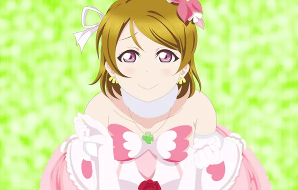 Взгляд, улыбка, девочка, зелёный фон, Love Live School Idol Project, Живая любовь