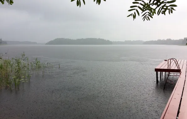 Дождь, rain, горизонт, sky, лес, тучи, clouds, forest