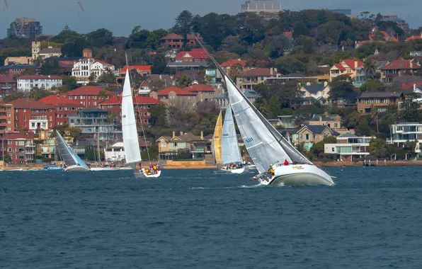 Картинка здания, яхты, Австралия, Сидней, Australia, Sydney, регата, Sydney Harbour