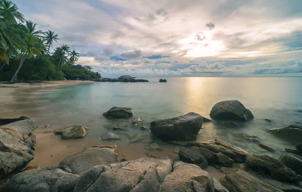 Картинка море, пляж, пейзаж, тропики