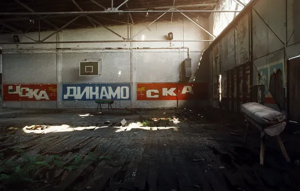 Спорт, зал, цска, динамо, ска