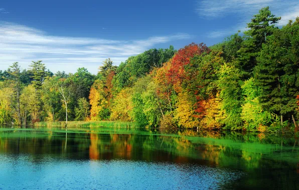 Осень, лес, небо, облака, деревья, озеро