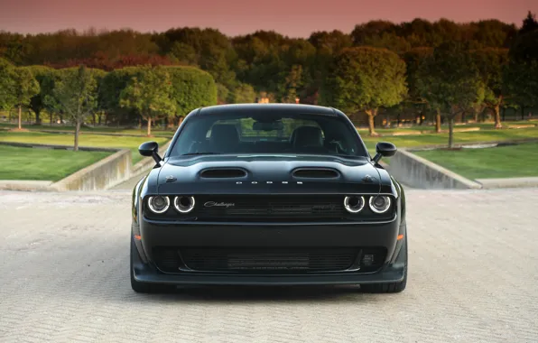 Dodge, Challenger, front, Dodge Challenger SRT Black Ghost