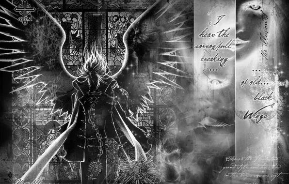 Черно-белое, охотник на вампиров, Вампир, тринити блад, Авель Найтроуд, Trinity Blood, Кровь Триединства