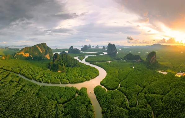 Картинка Thailand, nature, aerial view, Mangrove forest, Phang Nga bay