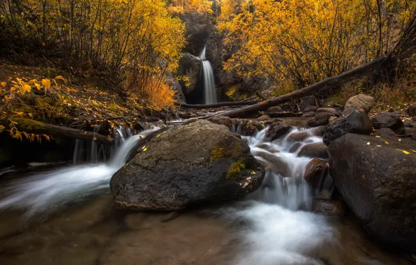 Осень, лес, ветки, камни, водопад, брёвна