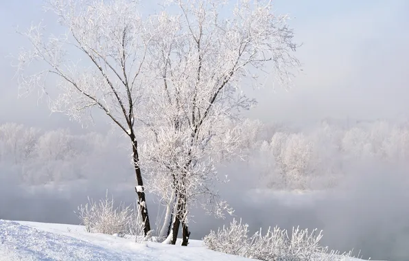 Картинка зима, снег, пейзаж, природа, winter