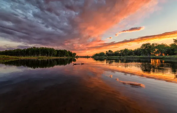 Лес, небо, облака, деревья, закат, река, США, Colorado