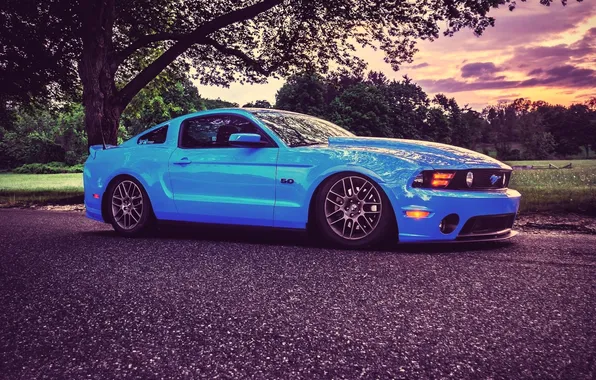 Дорога, деревья, тучи, голубой, Форд, Мустанг, Ford Mustang