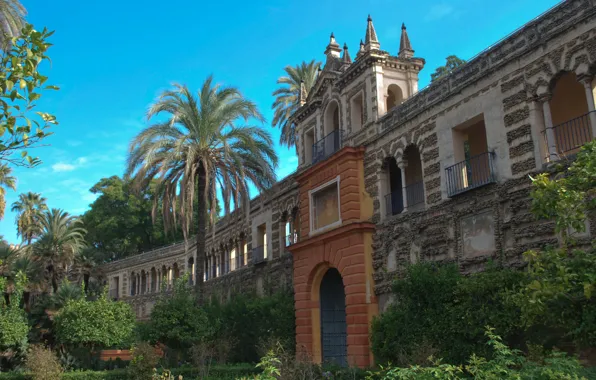 Испания, Spain, Севилья, Sevilla, Real Alcazar, Севильский Алькасар