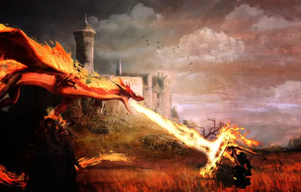 Пейзаж, битва, рыцарь, Драконы, dragons, Dragon's Prophet