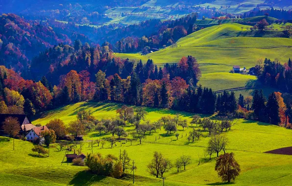 Картинка осень, лес, трава, деревья, горы, дома