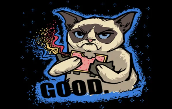 Кот, космос, хорошо, good, нянкэт