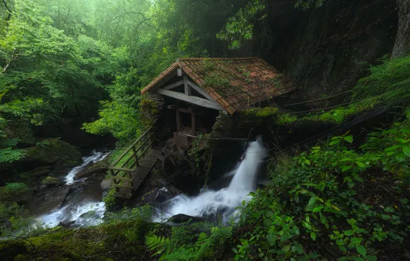 Зелень, лес, деревья, ручей, камни, водопад, мох, домик