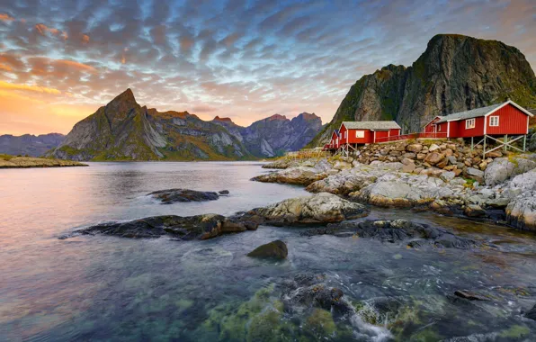 Горы, дома, Норвегия, фьорд