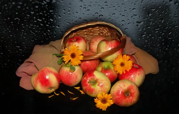Цветы, природа, настроение, яблоки, красота, корзинка, красивые, beautiful