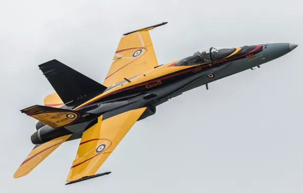 Истребитель, многоцелевой, Hornet, Хорнет, CF-18