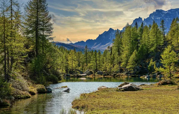 Forest, sky, landscape, mountains, lake, highland, ricer