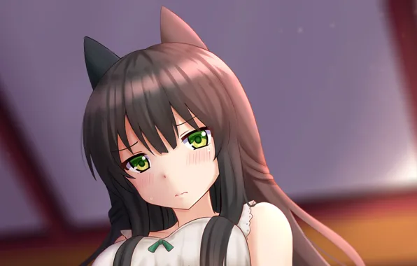 Girl, green eyes, neko, blush, anime, cat, pretty, brunette