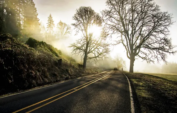Картинка дорога, туман, утро